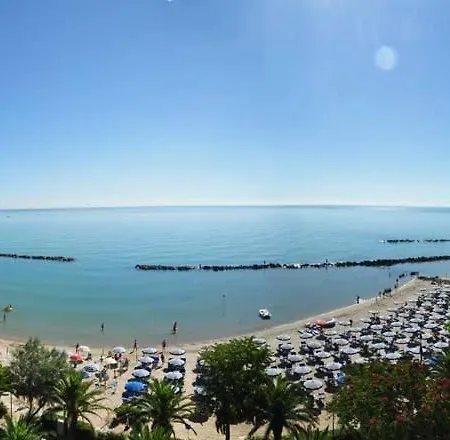 Elite * マルティンシクーロ