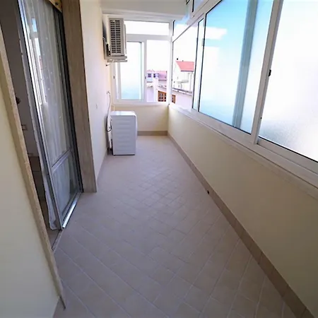 Elite マルティンシクーロ