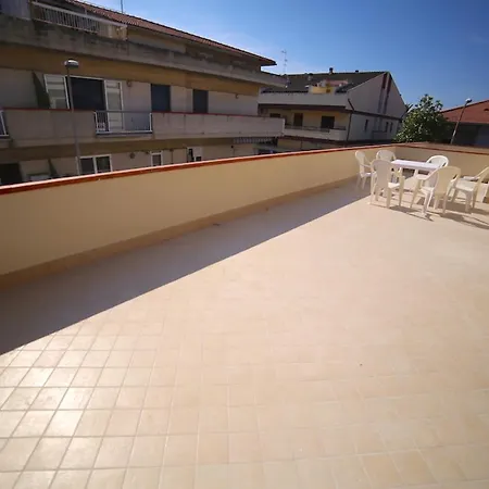 Elite * マルティンシクーロ